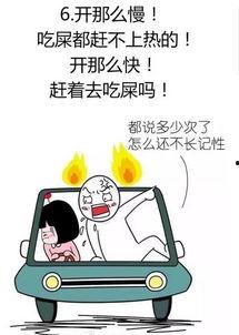 驾校学车吃瓜搞笑视频,吃瓜搞笑视频笑翻众人